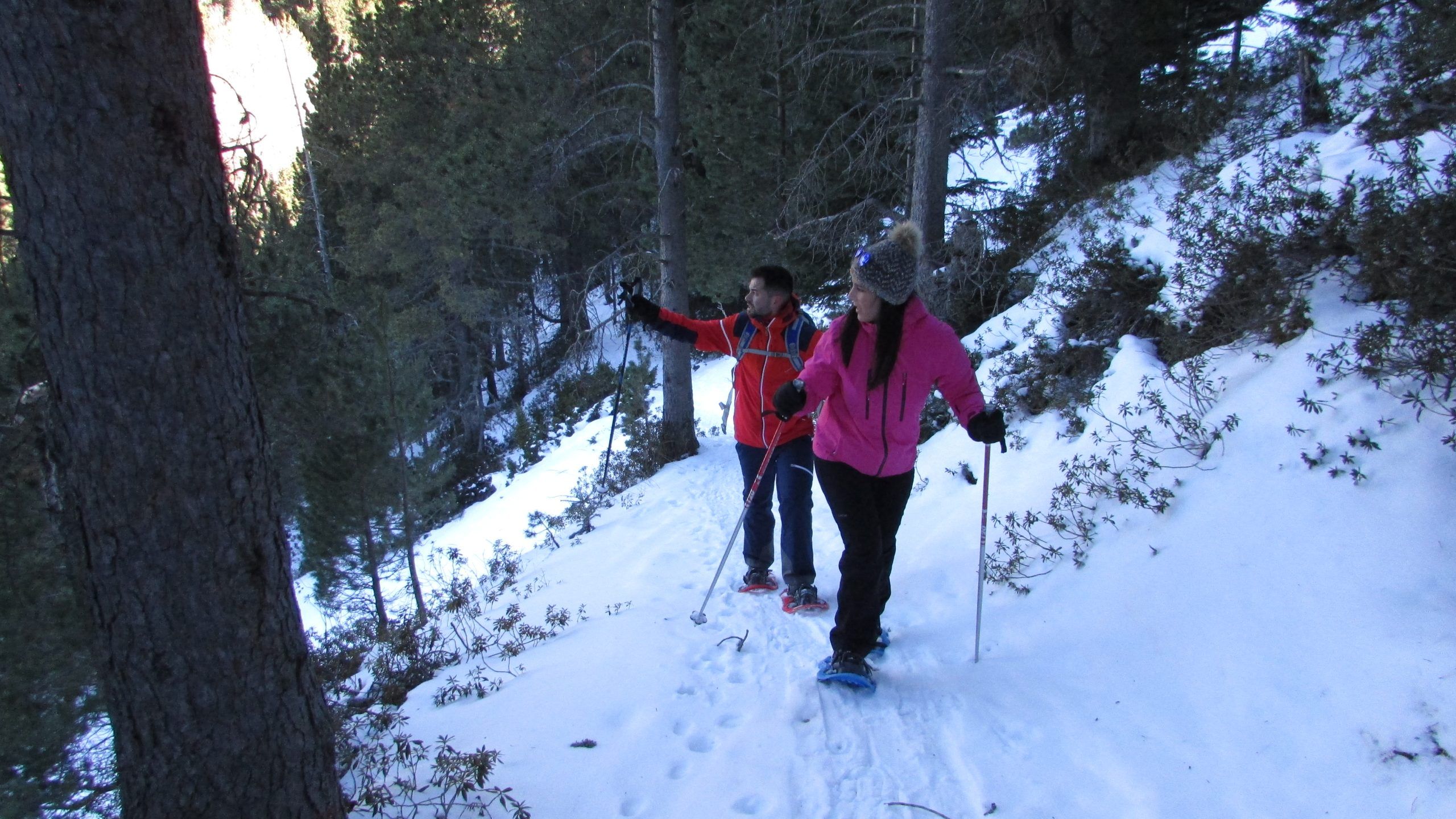 Raquetas de Nieve - Vall de Sant Martí